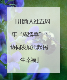 川渝人社五周年“成绩单”：协同发展托起民生幸福