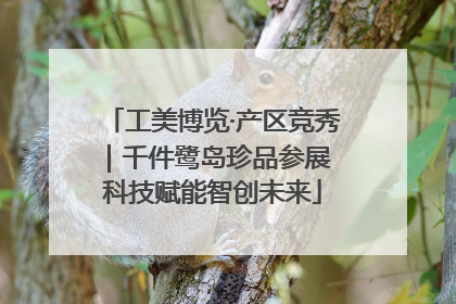 工美博览·产区竞秀｜千件鹭岛珍品参展 科技赋能智创未来