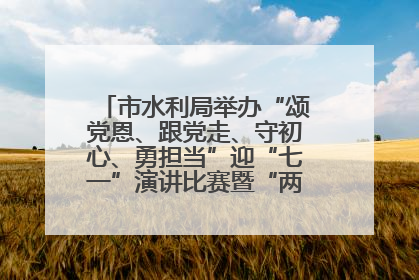 市水利局举办“颂党恩、跟党走、守初心、勇担当”迎“七一”演讲比赛暨“两优一先”表彰活动
