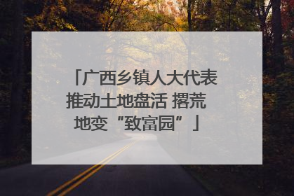 广西乡镇人大代表推动土地盘活 撂荒地变“致富园”