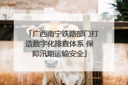 广西南宁铁路部门打造数字化排查体系 保障汛期运输安全