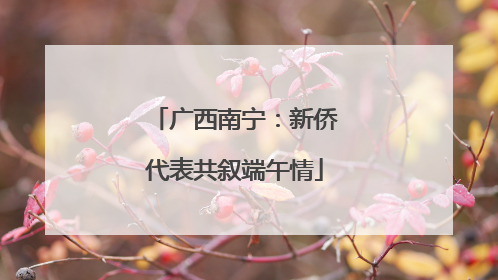 广西南宁：新侨代表共叙端午情
