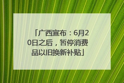 广西宣布：6月20日之后，暂停消费品以旧换新补贴