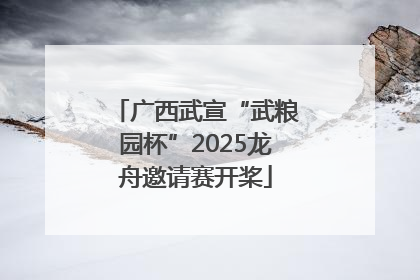 广西武宣“武粮园杯”2025龙舟邀请赛开桨