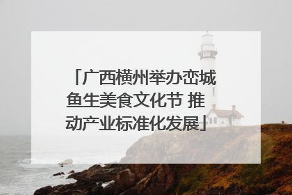 广西横州举办峦城鱼生美食文化节 推动产业标准化发展