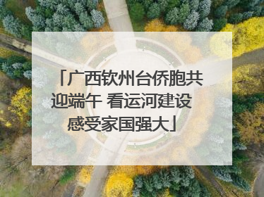 广西钦州台侨胞共迎端午 看运河建设感受家国强大