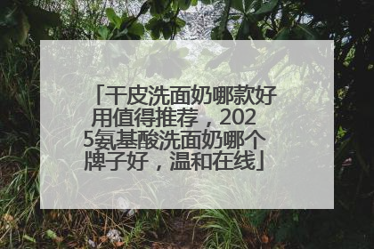 干皮洗面奶哪款好用值得推荐，2025氨基酸洗面奶哪个牌子好，温和在线
