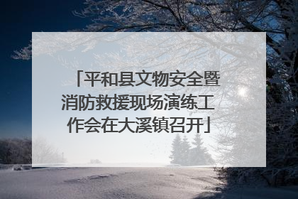 平和县文物安全暨消防救援现场演练工作会在大溪镇召开