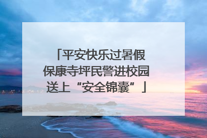 平安快乐过暑假 保康寺坪民警进校园送上“安全锦囊”