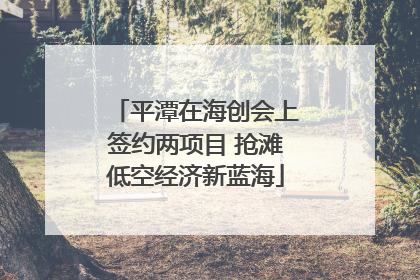 平潭在海创会上签约两项目 抢滩低空经济新蓝海