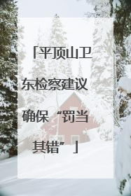 平顶山卫东检察建议确保“罚当其错”