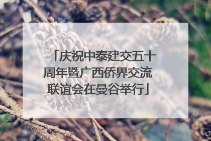 庆祝中泰建交五十周年暨广西侨界交流联谊会在曼谷举行
