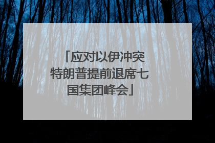 应对以伊冲突 特朗普提前退席七国集团峰会