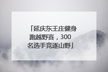 延庆东王庄健身跑越野赛，300名选手竞逐山野