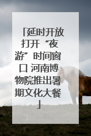 延时开放 打开“夜游”时间窗口 河南博物院推出暑期文化大餐