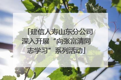 建信人寿山东分公司深入开展“向张富清同志学习”系列活动