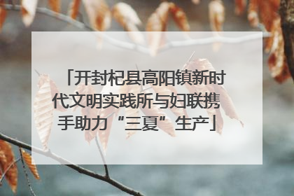 开封杞县高阳镇新时代文明实践所与妇联携手助力“三夏”生产