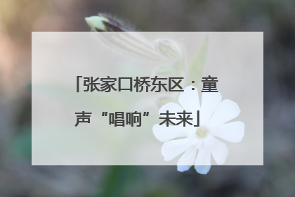 张家口桥东区：童声“唱响”未来