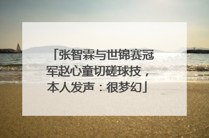 张智霖与世锦赛冠军赵心童切磋球技，本人发声：很梦幻