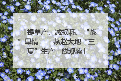 提单产、减损耗、“战”旱情——燕赵大地“三夏”生产一线观察