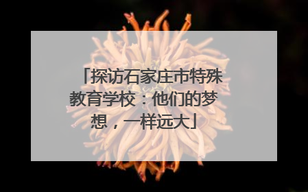 探访石家庄市特殊教育学校：他们的梦想，一样远大