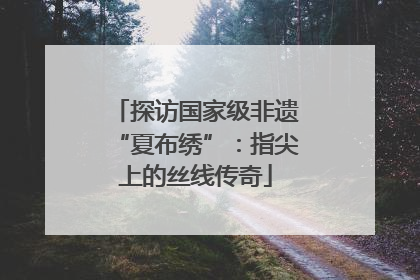 探访国家级非遗“夏布绣”：指尖上的丝线传奇