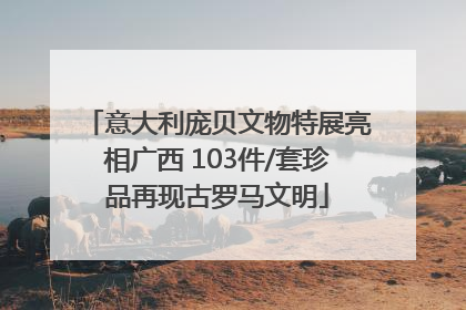意大利庞贝文物特展亮相广西 103件/套珍品再现古罗马文明