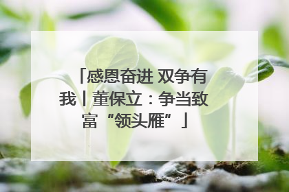 感恩奋进 双争有我丨董保立：争当致富“领头雁”
