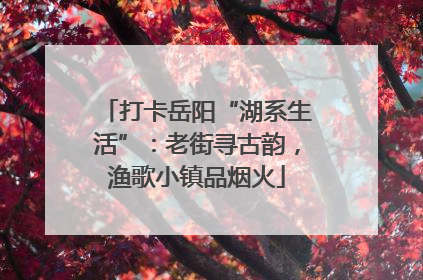 打卡岳阳“湖系生活”：老街寻古韵，渔歌小镇品烟火