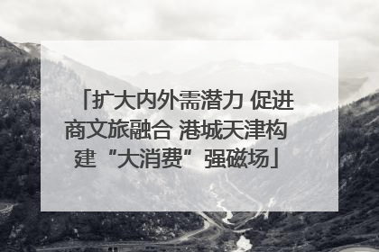 扩大内外需潜力 促进商文旅融合 港城天津构建“大消费”强磁场