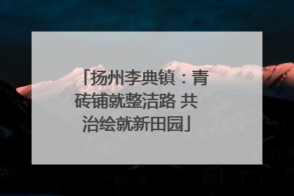 扬州李典镇：青砖铺就整洁路 共治绘就新田园