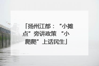 扬州江都：“小摊点”旁讲政策 “小爬爬”上话民生