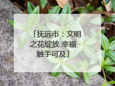 抚远市：文明之花绽放 幸福触手可及