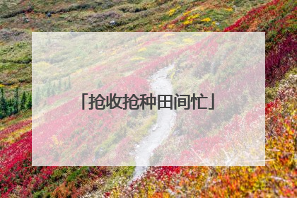 抢收抢种田间忙
