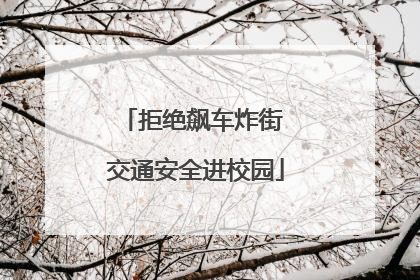 拒绝飙车炸街 交通安全进校园