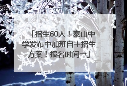 招生60人！泰山中学发布中加班自主招生方案！报名时间→