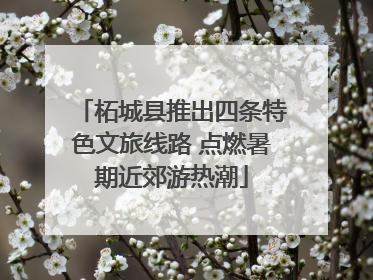 柘城县推出四条特色文旅线路 点燃暑期近郊游热潮