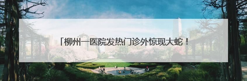 柳州一医院发热门诊外惊现大蛇！有毒无毒？专家辨认：性情温顺