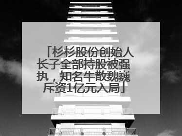 杉杉股份创始人长子全部持股被强执，知名牛散魏巍斥资1亿元入局