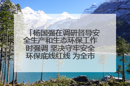 杨国强在调研督导安全生产和生态环保工作时强调 坚决守牢安全环保底线红线 为全市经济社会高质量发展提供坚强保障