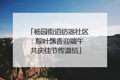 杨园街道纺器社区：粽叶飘香迎端午 共庆佳节传温情