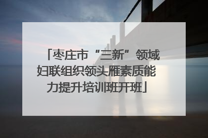 枣庄市“三新”领域妇联组织领头雁素质能力提升培训班开班