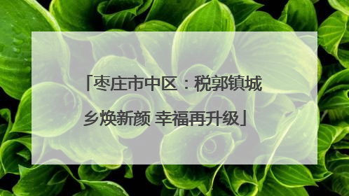 枣庄市中区：税郭镇城乡焕新颜 幸福再升级