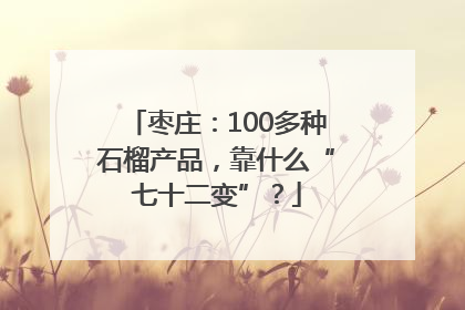 枣庄：100多种石榴产品，靠什么“七十二变”？
