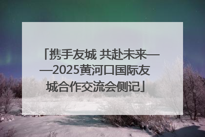 携手友城 共赴未来——2025黄河口国际友城合作交流会侧记