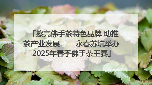 擦亮佛手茶特色品牌 助推茶产业发展——永春苏坑举办2025年春季佛手茶王赛
