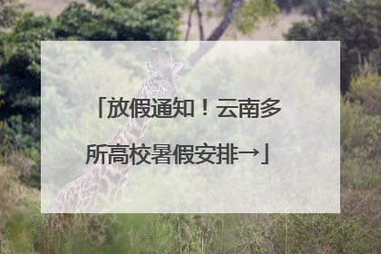 放假通知！云南多所高校暑假安排→