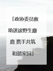 政协委员救助迷途野生麋鹿 携手共筑和谐家园