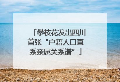 攀枝花发出四川首张“户籍人口直系亲属关系谱”
