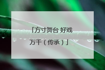 方寸舞台 好戏万千（传承）
